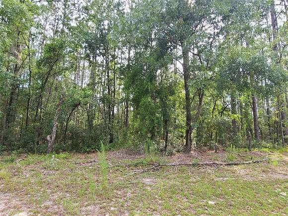 0.24 Acres of Residential Land for Sale in Ocala, Florida