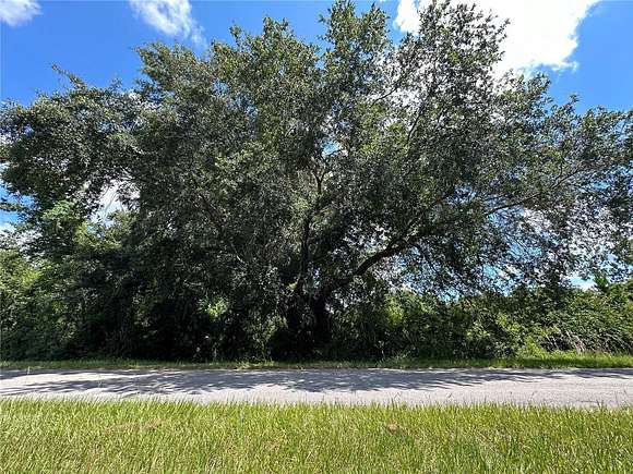 0.23 Acres of Residential Land for Sale in Georgetown, Florida