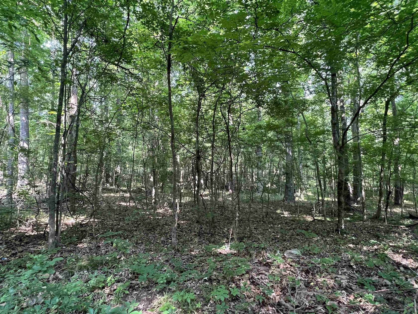 0.21 Acres of Residential Land for Sale in Waterloo, South Carolina