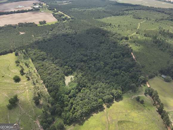 54.5 Acres of Land for Sale in Pelham, Georgia
