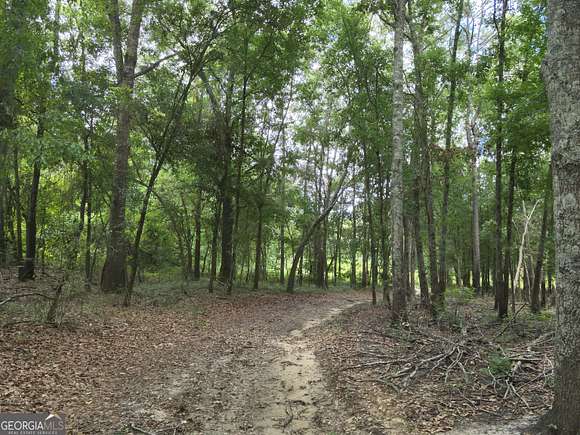 10.5 Acres of Land for Sale in Pelham, Georgia