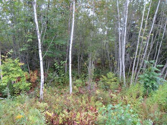 4.59 Acres of Residential Land for Sale in Kenduskeag, Maine