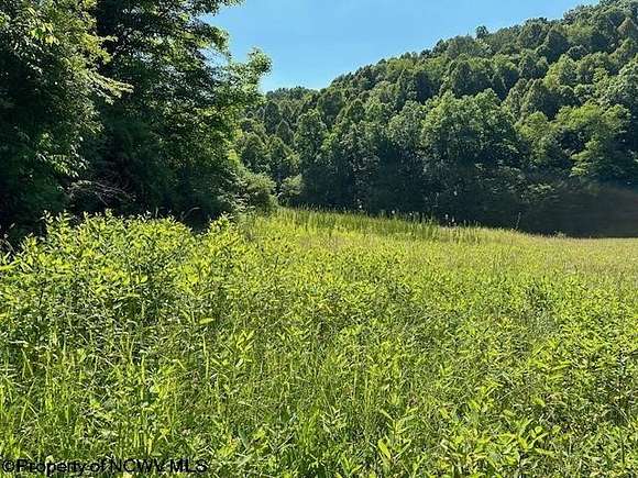 63.8 Acres of Recreational Land for Sale in Mannington, West Virginia