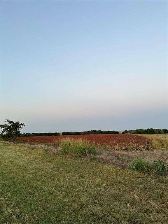 30 Acres of Agricultural Land for Sale in Gainesville, Texas