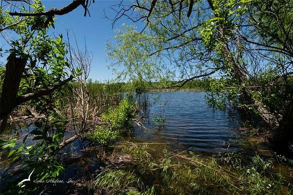 96.64 Acres of Recreational Land for Sale in Clyde, Texas
