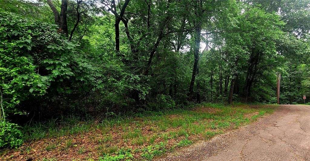 0.3 Acres of Residential Land for Sale in Mount Vernon, Texas