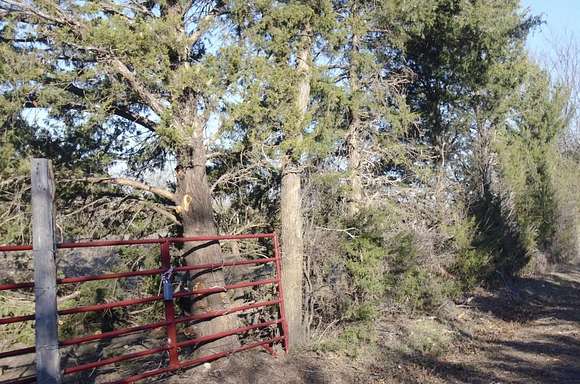 12.002 Acres of Land for Sale in Sherman, Texas
