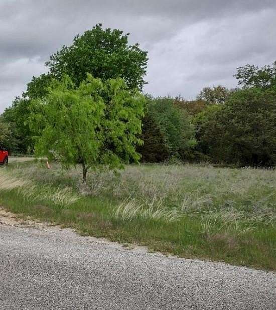 0.299 Acres of Land for Sale in Whitney, Texas