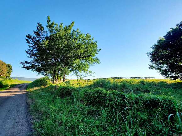 20 Acres of Recreational Land for Sale in Dardanelle, Arkansas