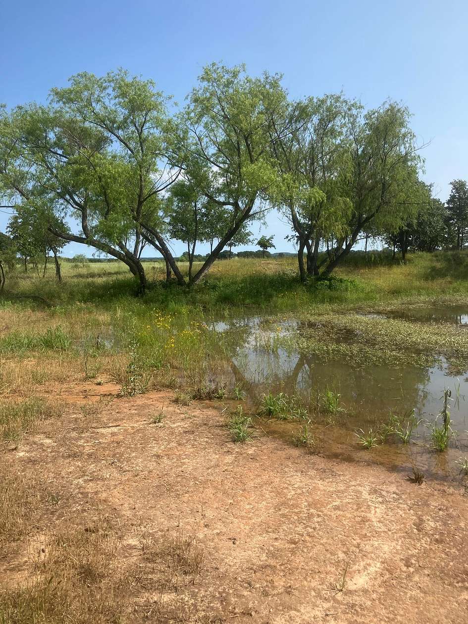 24 Acres of Recreational Land & Farm for Sale in Cross Plains, Texas