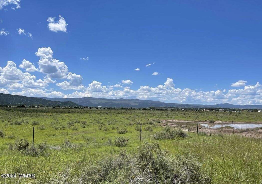 34.75 Acres of Agricultural Land for Sale in Springerville, Arizona