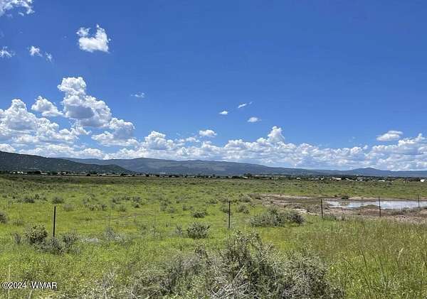 34.8 Acres of Land for Sale in Springerville, Arizona