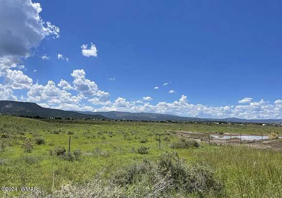 20.6 Acres of Agricultural Land for Sale in Springerville, Arizona