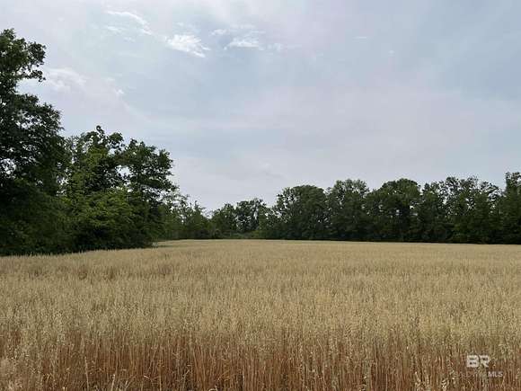 38.047 Acres of Land for Sale in Summerdale, Alabama