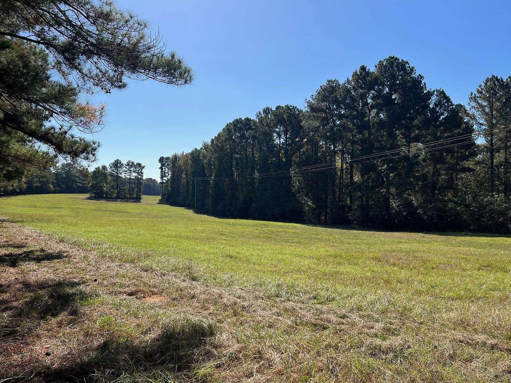 50 Acres of Agricultural Land for Sale in Greensboro, Georgia