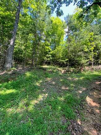 1.01 Acres of Land for Sale in Brasstown, North Carolina