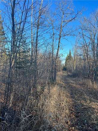 167.98 Acres of Recreational Land for Sale in Hillman Township, Minnesota