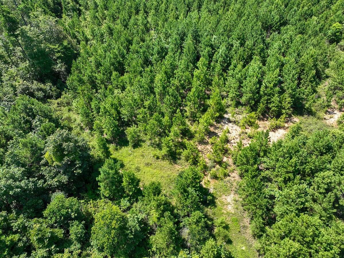 7.66 Acres of Land for Sale in Milam, Texas