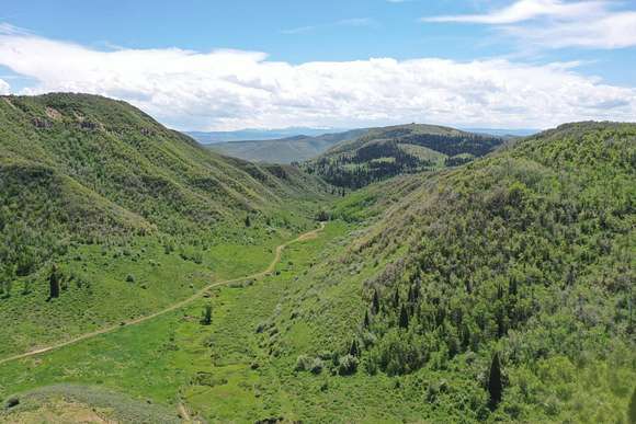 699 Acres of Improved Recreational Land for Sale in Steamboat Springs, Colorado