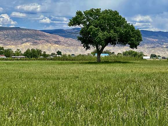 52.82 Acres of Land for Sale in Montrose, Colorado