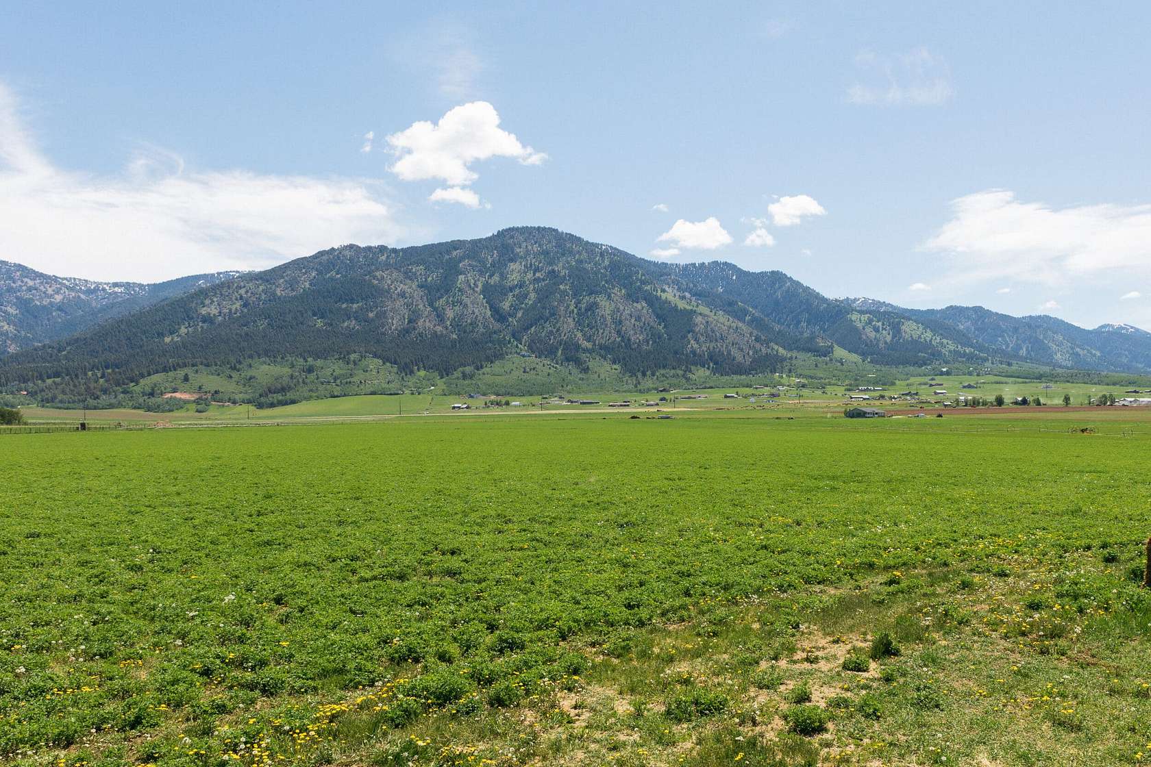 44.98 Acres of Land for Sale in Etna, Wyoming