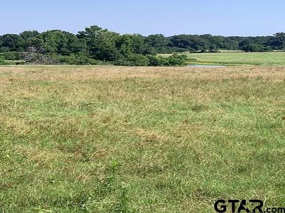 75 Acres of Land for Sale in New Summerfield, Texas