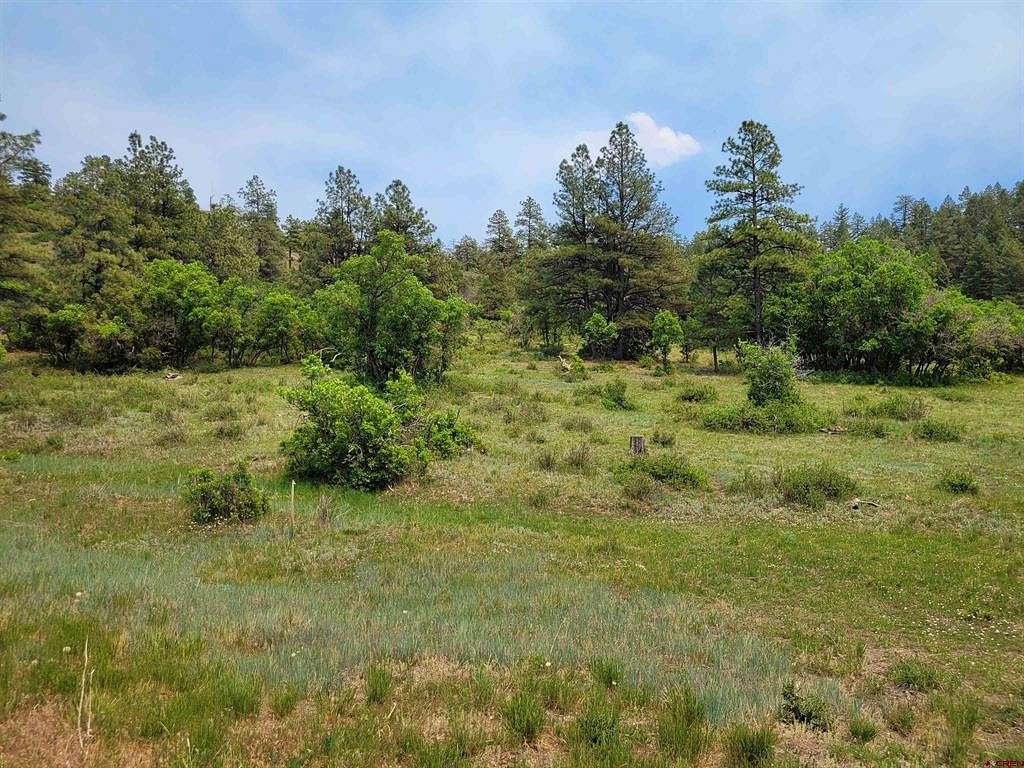 5.62 Acres of Residential Land for Sale in Pagosa Springs, Colorado