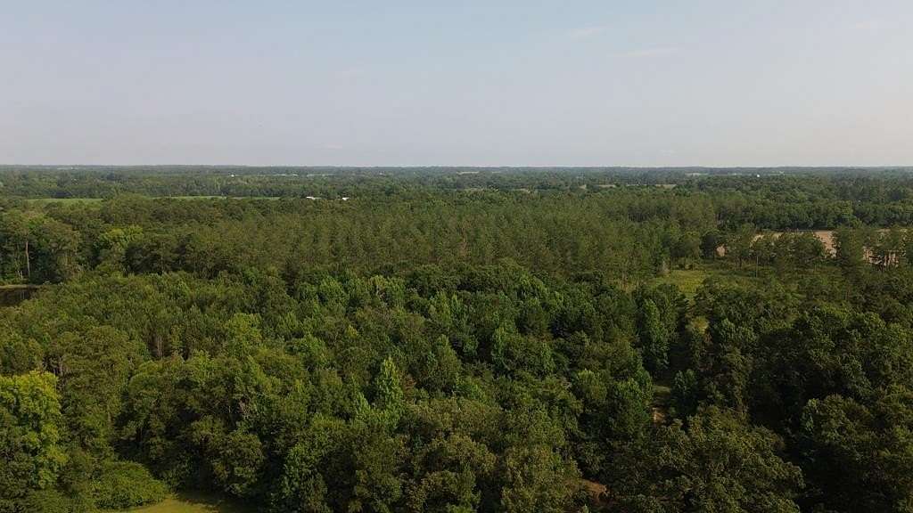 53.3 Acres of Recreational Land for Sale in Cairo, Georgia