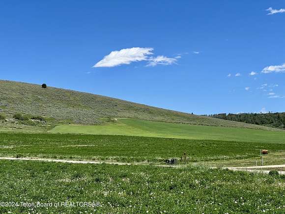 2.65 Acres of Residential Land for Sale in Tetonia, Idaho