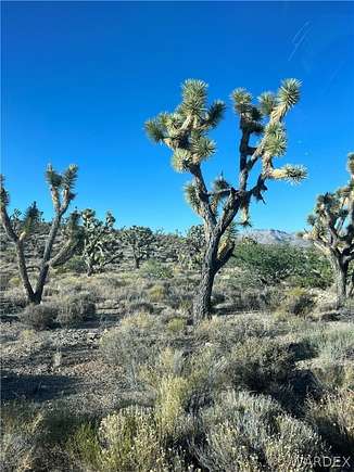 5 Acres of Land for Sale in Meadview, Arizona