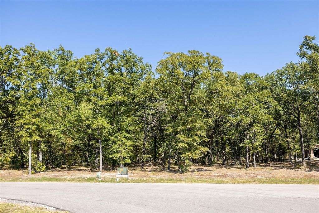 1 Acre of Residential Land for Sale in Quinlan, Texas