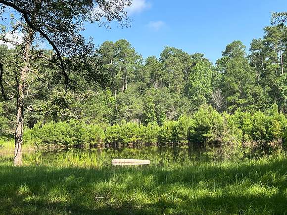 42 Acres of Recreational Land for Sale in Conroe, Texas