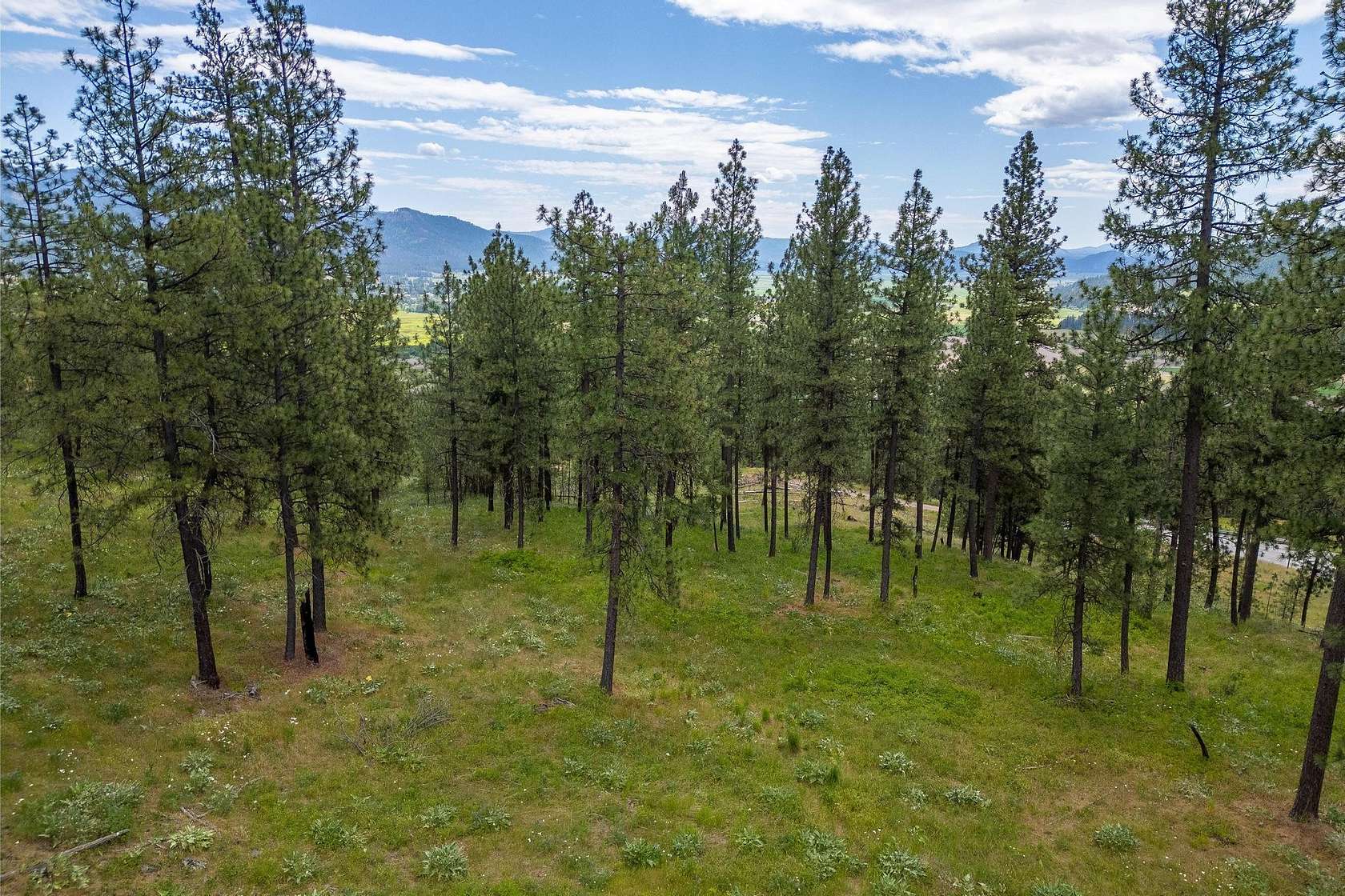 0.33 Acres of Land for Sale in Chewelah, Washington