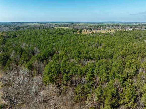 161 Acres of Recreational Land & Farm for Sale in Tyler, Texas