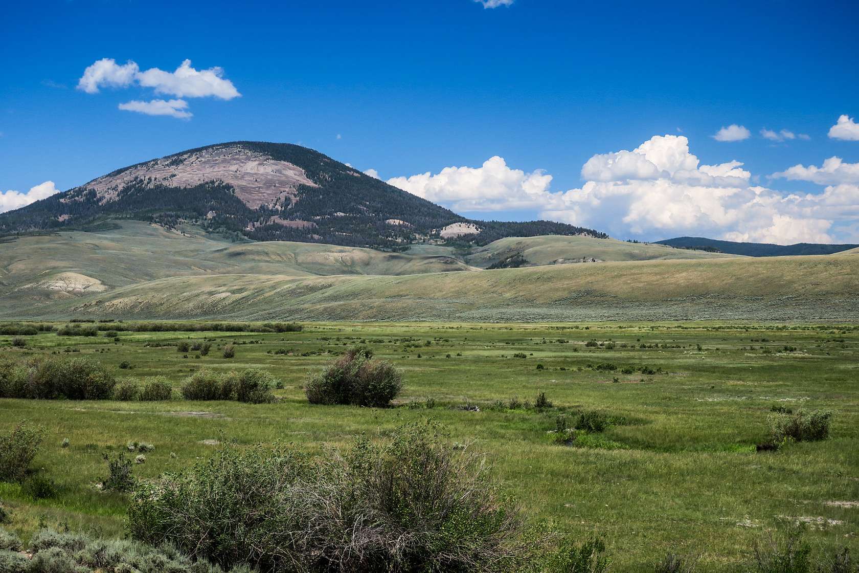 1575 Acres of Recreational Land & Farm for Sale in Gunnison, Colorado