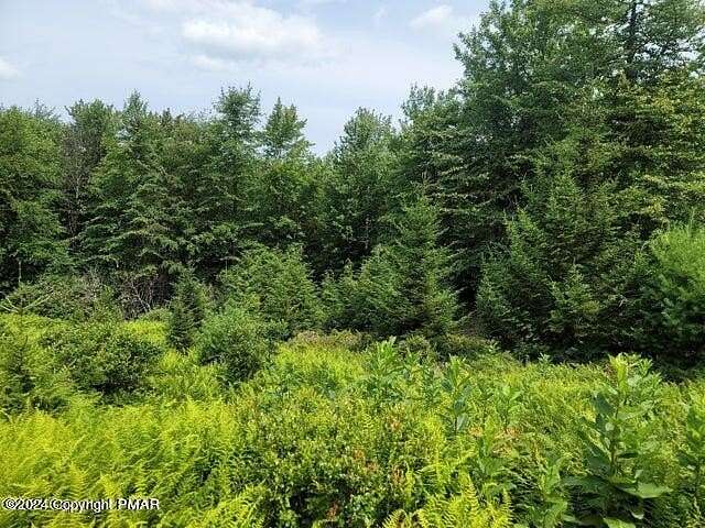 0.5 Acres of Residential Land for Sale in Pocono Pines, Pennsylvania