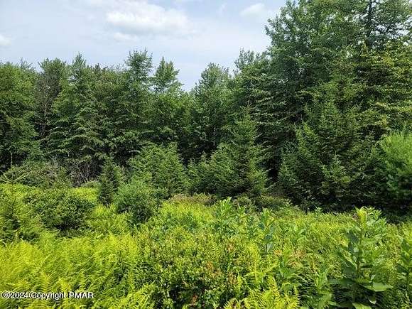 0.5 Acres of Residential Land for Sale in Pocono Pines, Pennsylvania