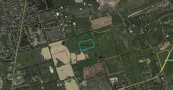 39.38 Acres of Land for Sale in Crawfordville, Florida