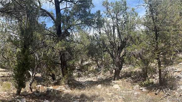 85.22 Acres of Recreational Land & Farm for Sale in Peach Springs, Arizona
