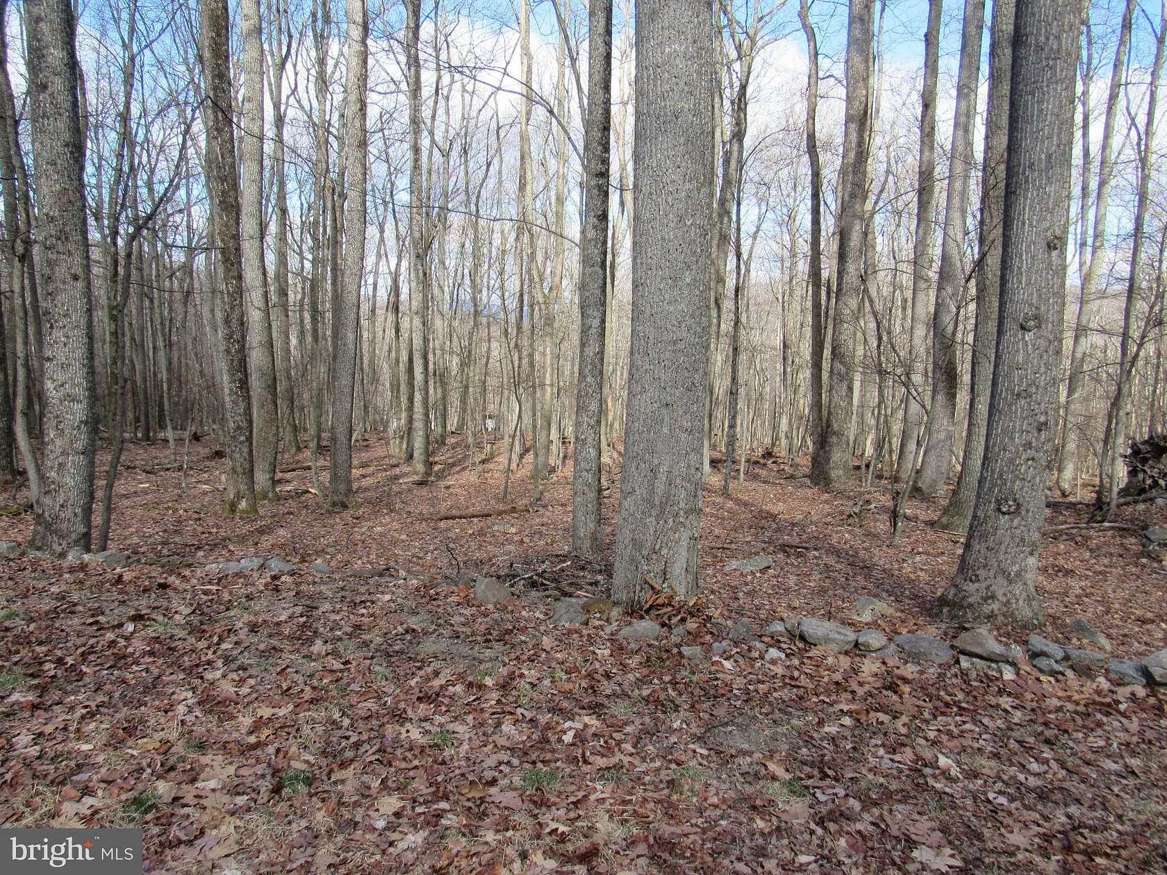 0.75 Acres of Land for Sale in Mathias, West Virginia
