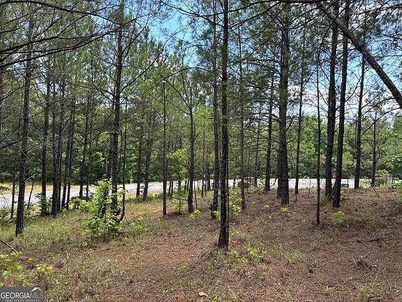 1.35 Acres of Residential Land for Sale in Forsyth, Georgia