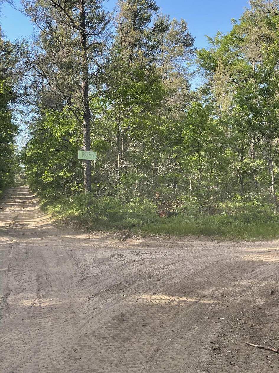 9.14 Acres of Land for Sale in Grayling, Michigan
