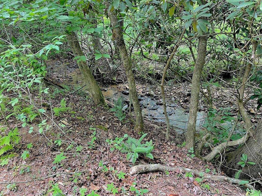 1.3 Acres of Residential Land for Sale in Blairsville, Georgia