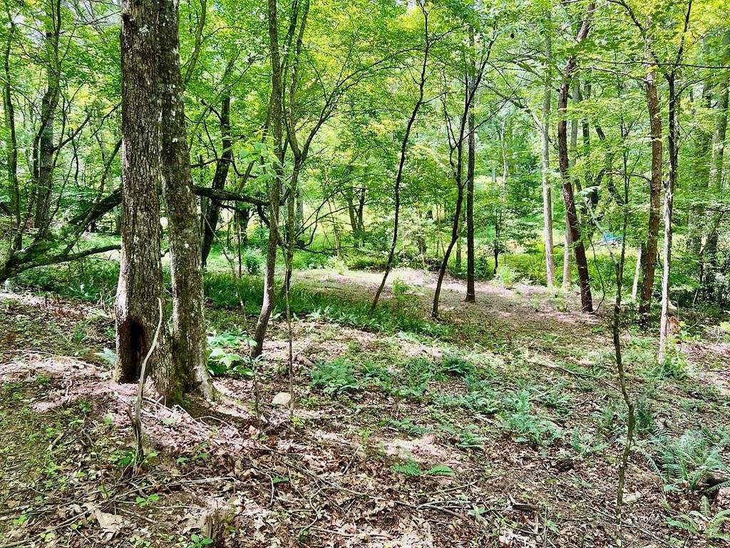 1.286 Acres of Residential Land for Sale in Blairsville, Georgia