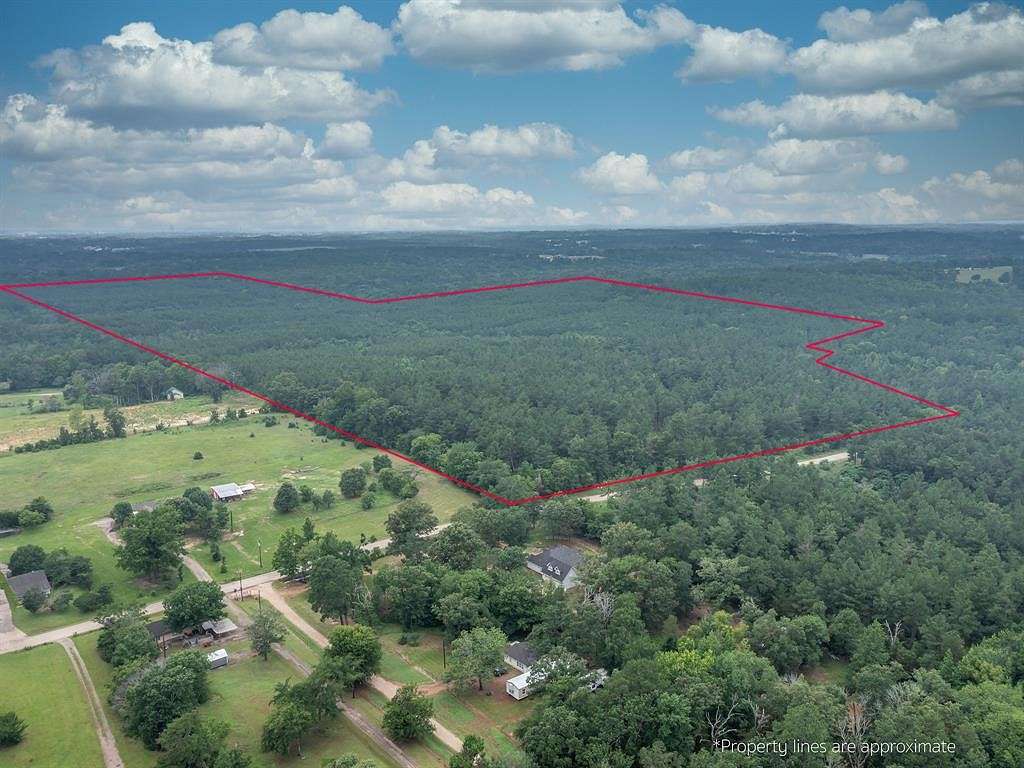 242.05 Acres of Recreational Land for Sale in Tyler, Texas