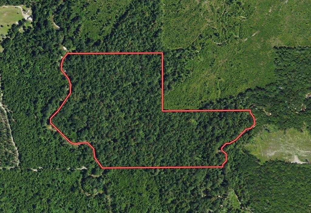 50 Acres of Recreational Land & Farm for Sale in Poplarville, Mississippi