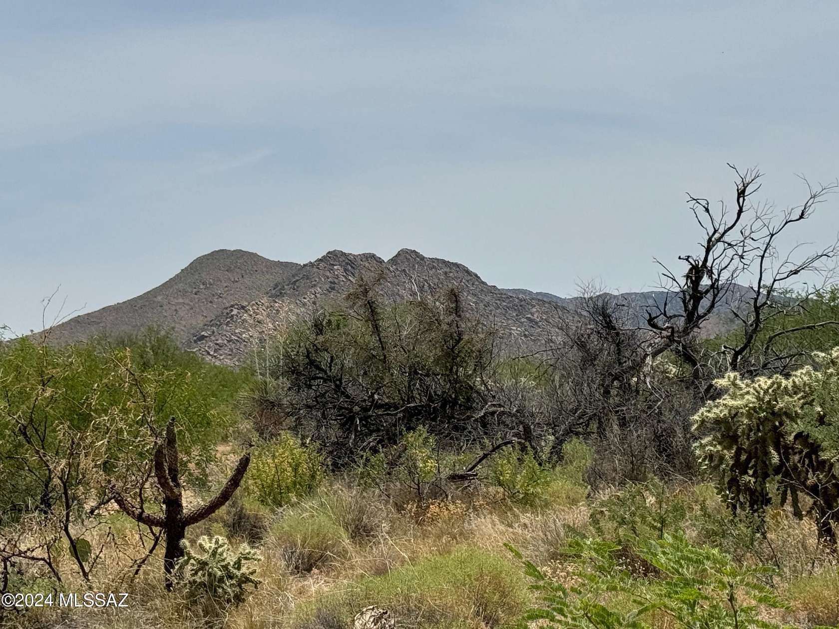 1.25 Acres of Residential Land for Sale in Tucson, Arizona