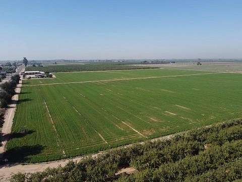 38.76 Acres of Agricultural Land for Sale in Fresno, California