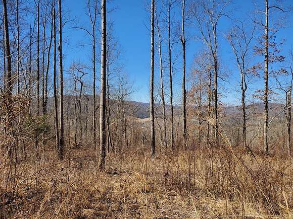 42.04 Acres of Recreational Land for Sale in Jamestown, Tennessee