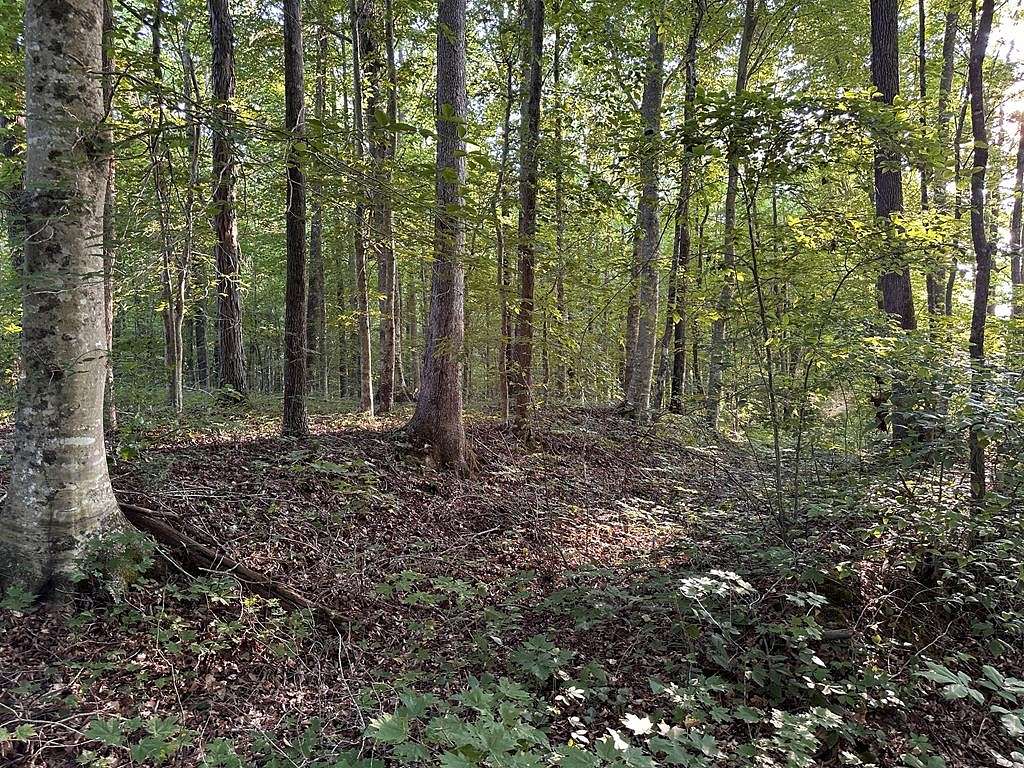 16.53 Acres of Land for Sale in Jamestown, Tennessee